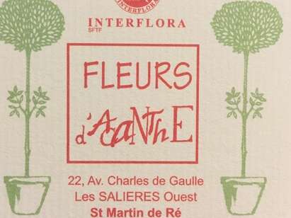 FLEURS D'ACANTHE FLEURS D'ACANTHE