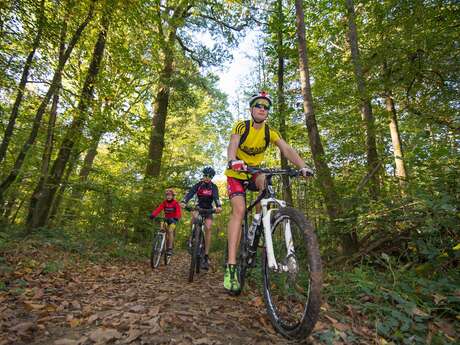 VTT N°4 VTT N°4