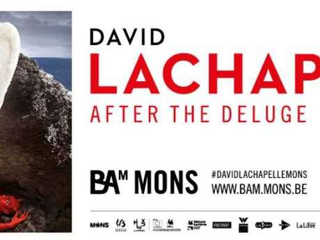 David LaChapelle - After the deluge David LaChapelle - After the deluge