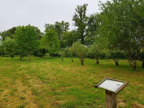 Arboretum Arboretum