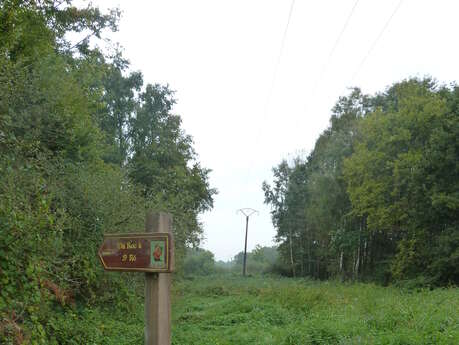 To Saint Rô’s Rock / Circuit 1 To Saint Rô’s Rock / Circuit 1