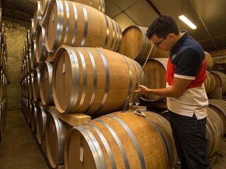 DOMAINE FRADON DOMAINE FRADON