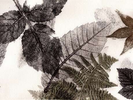 Atelier "ART & NATURE" Atelier "ART & NATURE"