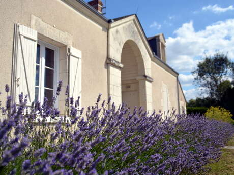 Maison éclusière de Talufiau Maison éclusière de Talufiau