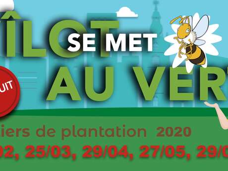 Atelier îlot se met au vert Atelier îlot se met au vert