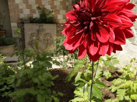Jardin des Teinturiers Jardin des Teinturiers