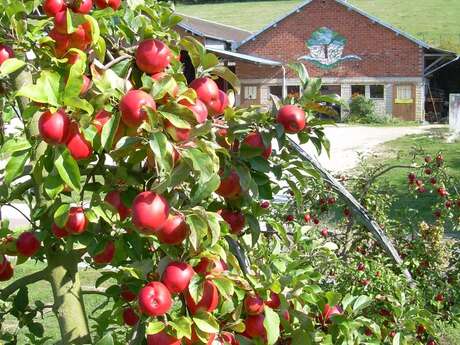 LA FERME DES CHARMES LA FERME DES CHARMES