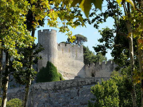 Site de la Forteresse de Beaucaire Site de la Forteresse de Beaucaire