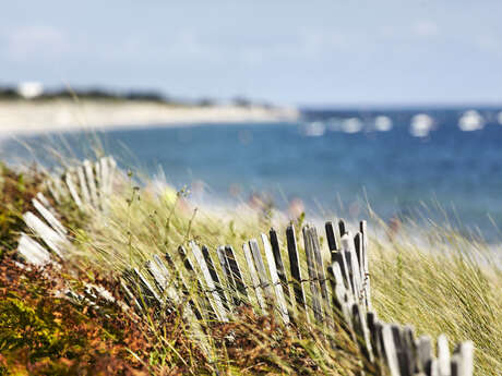 Les plages de Mousterlin Les plages de Mousterlin