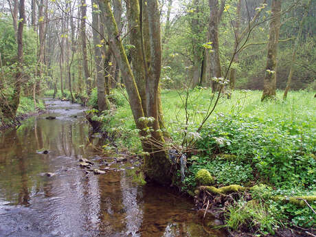 Het Natuurpark Les Hauts-Pays Het Natuurpark Les Hauts-Pays