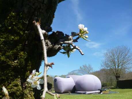 Les Bulles d'O Les Bulles d'O