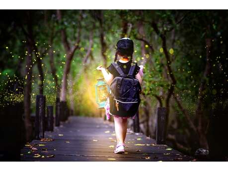 Balade contée en calèche - spéciale tous petits : fées et korrigans à bord! Balade contée en calèche - spéciale tous petits : fées et korrigans à bord!