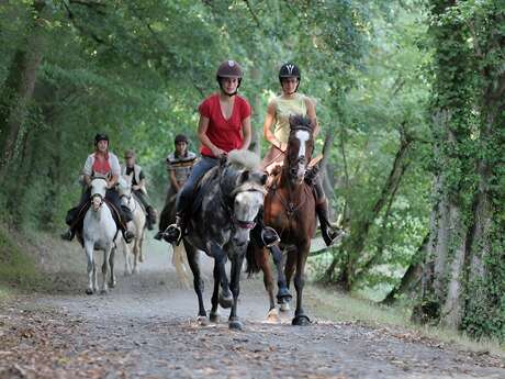 Centre Equestre l'Etape Centre Equestre l'Etape