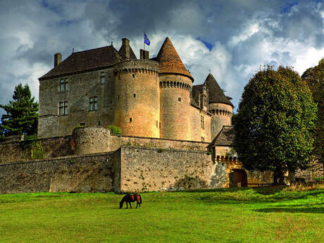 Château de Fénelon Château de Fénelon