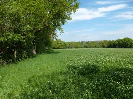 Balade en Bocage Balade en Bocage