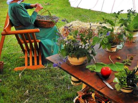 Saveurs épicées - Plantes et épices Saveurs épicées - Plantes et épices