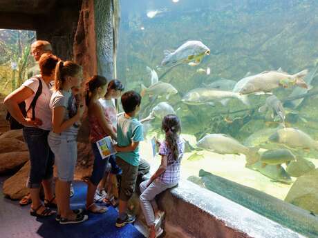 Aquarium de Pescalis Aquarium de Pescalis
