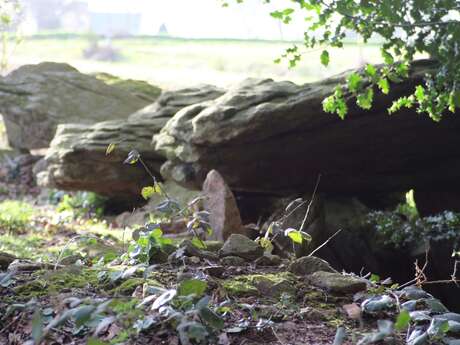 Dolmen du Champs Grosset Dolmen du Champs Grosset