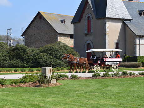 Visite découverte et balade en calèche - ANNULÉ Visite découverte et balade en calèche - ANNULÉ