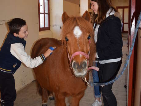 Après-midi au Haras Après-midi au Haras