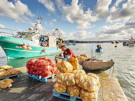 Coquilles Saint-Jacques Coquilles Saint-Jacques
