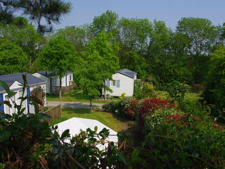 Camping des Jonquilles Camping des Jonquilles