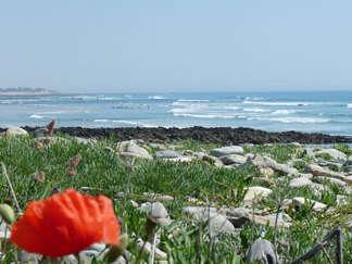 Plage de Kerrest Plage de Kerrest