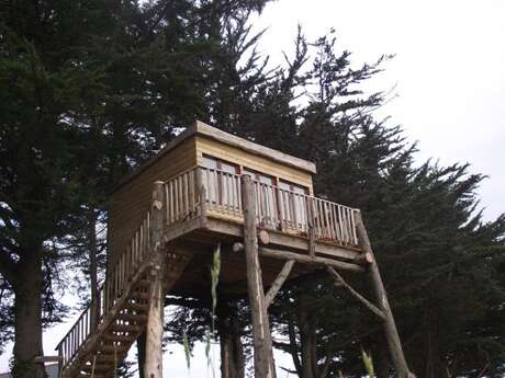 Cabane dans les arbres Cabane dans les arbres