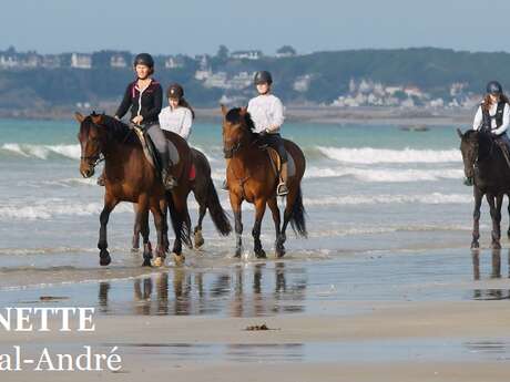 Centre équestre et Poney Club la Jeannette Centre équestre et Poney Club la Jeannette