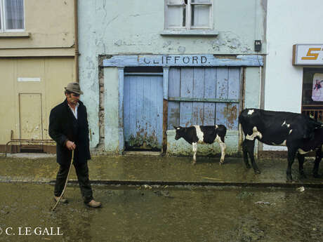 Exposition : Irlande, photographies Exposition : Irlande, photographies