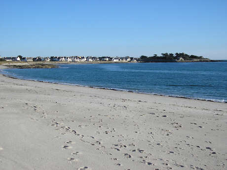 Festy Beach - Danse en ligne Festy Beach - Danse en ligne