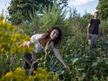 Visite guidée du jardin en permaculture "La Pâture es Chênes" Visite guidée du jardin en permaculture "La Pâture es Chênes"