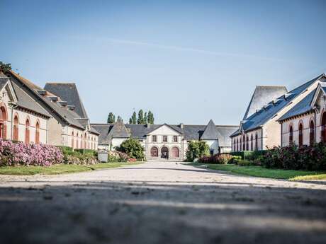 Une nuit au Haras Une nuit au Haras