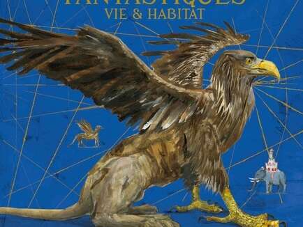 L'illustratrice des Animaux fantastiques à Mots et Images L'illustratrice des Animaux fantastiques à Mots et Images