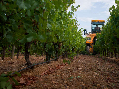 DOMAINE DE LA COLOMBETTE DOMAINE DE LA COLOMBETTE