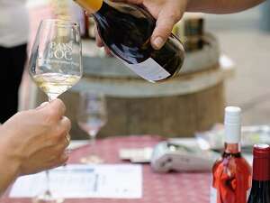 VISITE GUIDÉE DU CANAL DU MIDI ET DÉGUSTATION DE VINS VISITE GUIDÉE DU CANAL DU MIDI ET DÉGUSTATION DE VINS