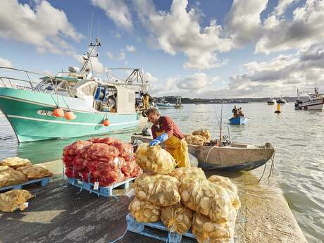 Coquilles Saint-Jacques Coquilles Saint-Jacques
