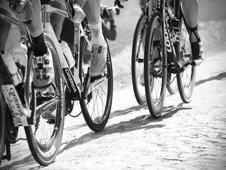 28e Rando-Raid en VTT des Châteaux Forts 28e Rando-Raid en VTT des Châteaux Forts