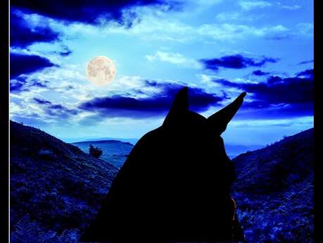 Balade à cheval sous la lune Balade à cheval sous la lune