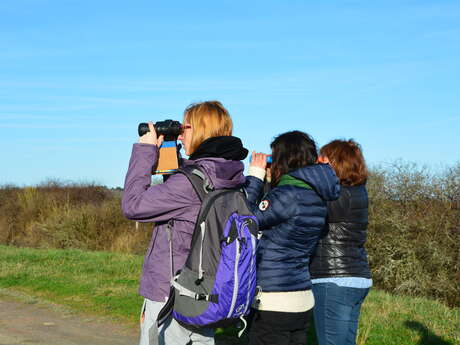 Ecoacteurs en Médoc,Tourisme de Nature Ecoacteurs en Médoc,Tourisme de Nature