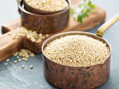 Conférence-Projection: "Quinoa, Prenez-en de la Graine!" Conférence-Projection: "Quinoa, Prenez-en de la Graine!"