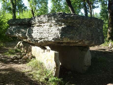A la Découverte du Causse des Dolmens A la Découverte du Causse des Dolmens