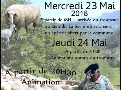 Transhumance Entre Vallée du Lot et Volcan Cantalien - Etape Saint-Jean-Mirabel Transhumance Entre Vallée du Lot et Volcan Cantalien - Etape Saint-Jean-Mirabel