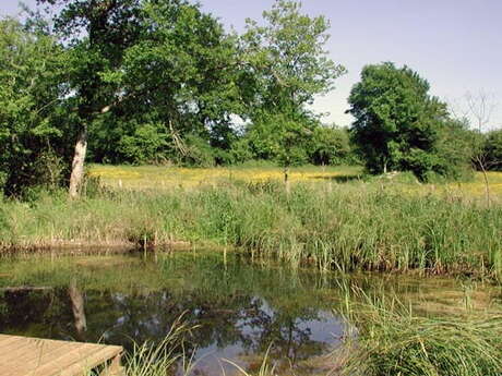 Réserve Naturelle Régionale du Marais de Bonnefont Réserve Naturelle Régionale du Marais de Bonnefont