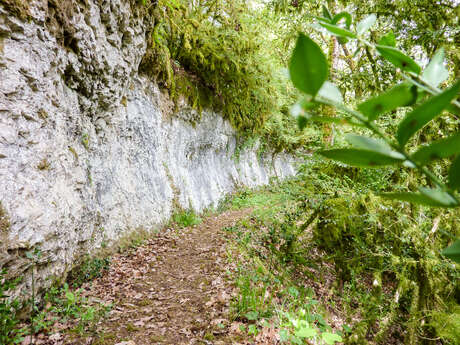 Des Rochers et des Hommes Des Rochers et des Hommes
