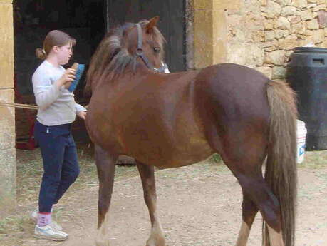 Centre Equestre d'Irina Centre Equestre d'Irina
