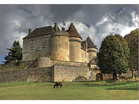 Château de Fénelon Château de Fénelon