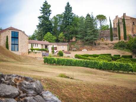 Domaine du Théron Domaine du Théron