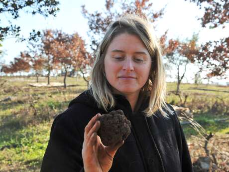 La Ferme de la Truffe La Ferme de la Truffe