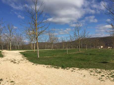 Aire pour camping-car "La Ferme de Grezelade" Aire pour camping-car "La Ferme de Grezelade"